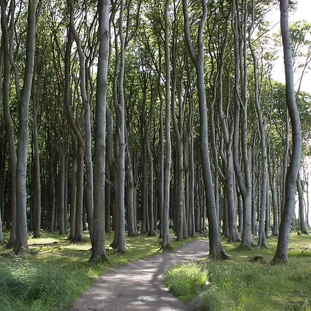 Morgensonne Appartement *